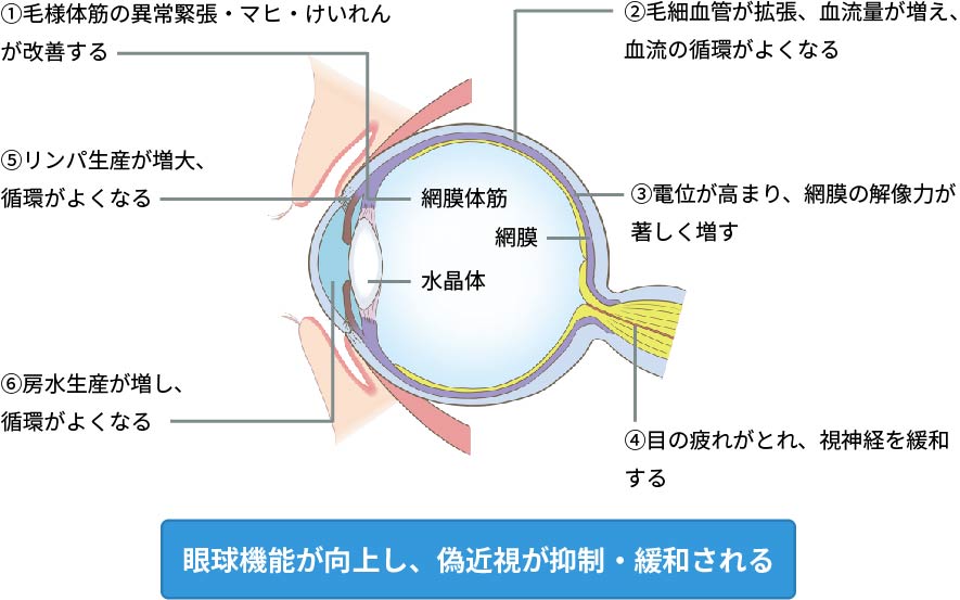 フタワソニックの効果