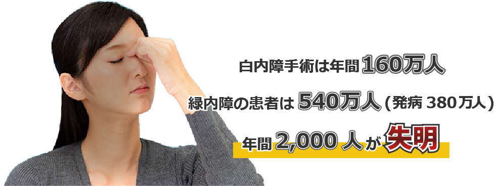 白内障手術は年間160万人。緑内障の患者は 540万人(発病 380万人)。年間 2,000 人が 失明